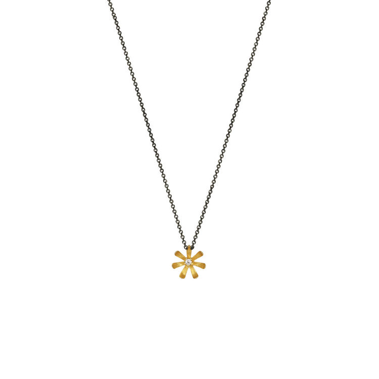 Εικόνα της ΛΟΥΛΟΥΔΙ 