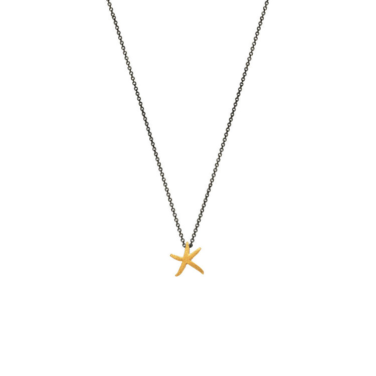 Εικόνα της ΑΣΤΕΡΙΑΣ