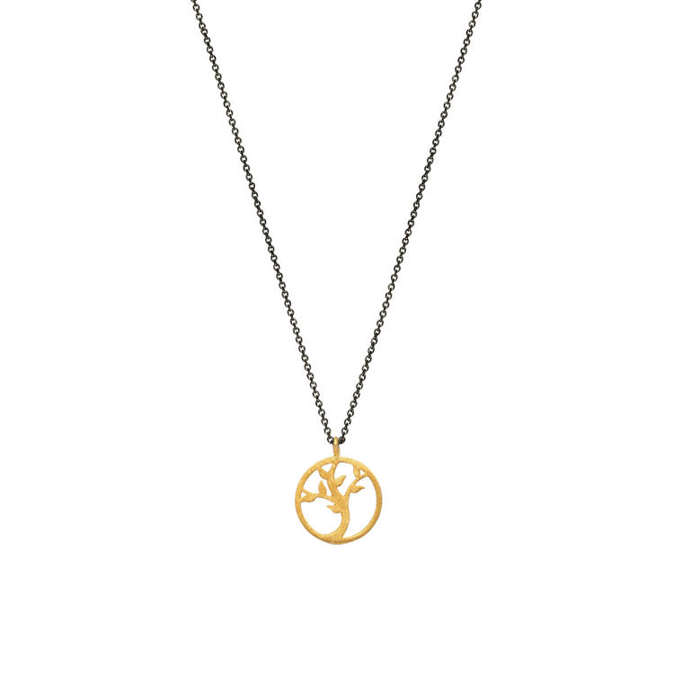 Εικόνα της ΔΕΝΤΡΟ ΖΩΗΣ