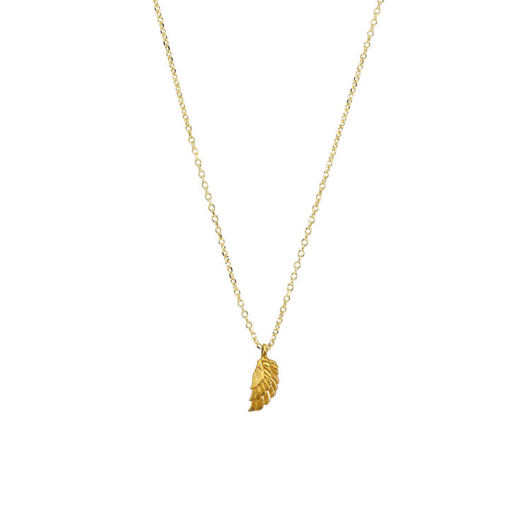 Εικόνα της ΦΤΕΡΟ