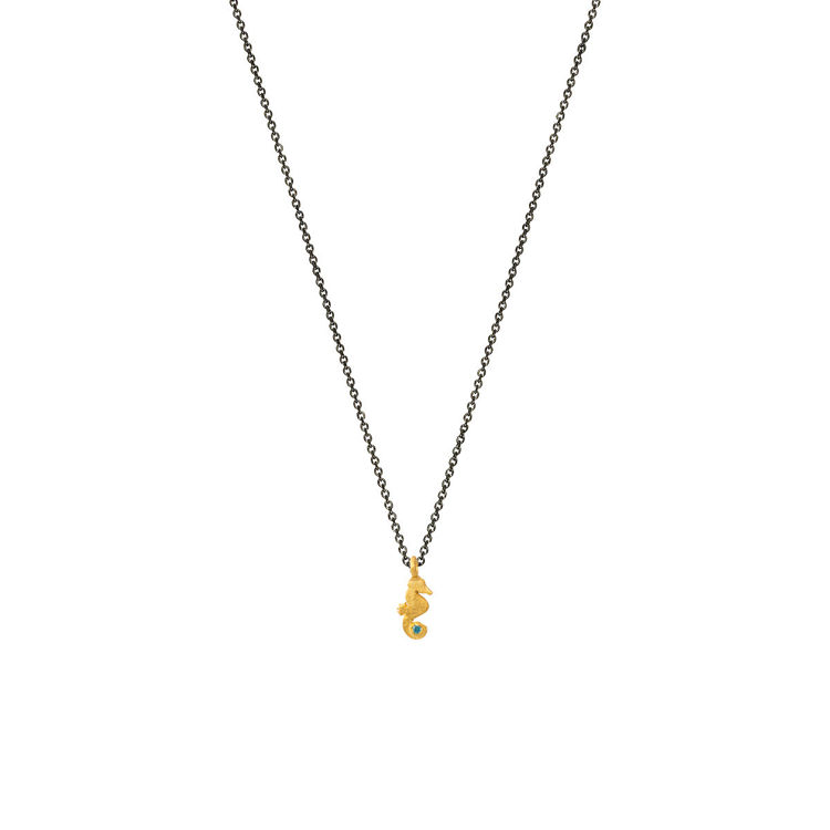 Εικόνα της HIPPOCAMPOS