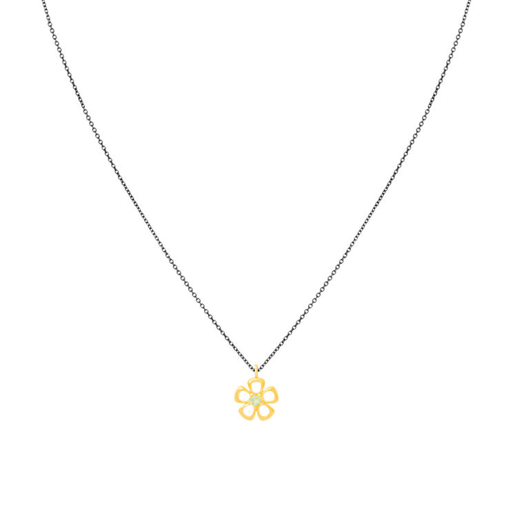 Εικόνα της FLOWER