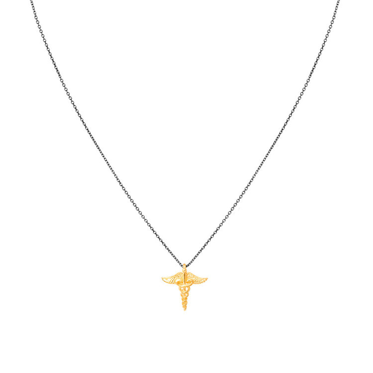 Εικόνα της ERMIS