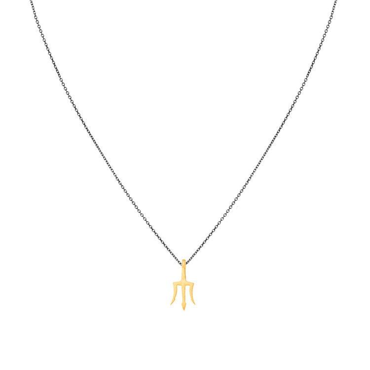 Εικόνα της TRIDENT